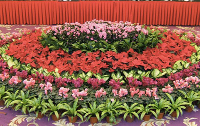 蘇州會議會展花卉租擺